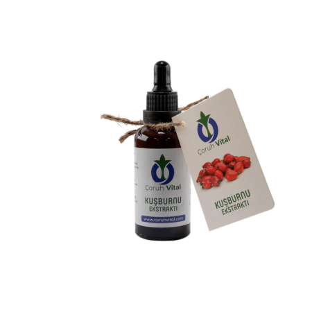 Kuşburnu Ekstraktı
