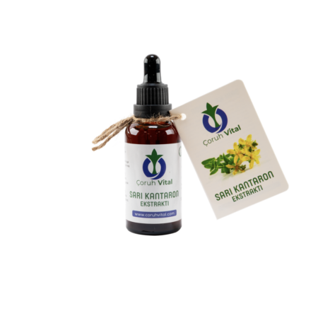 Sarı Kantaron Ekstraktı
