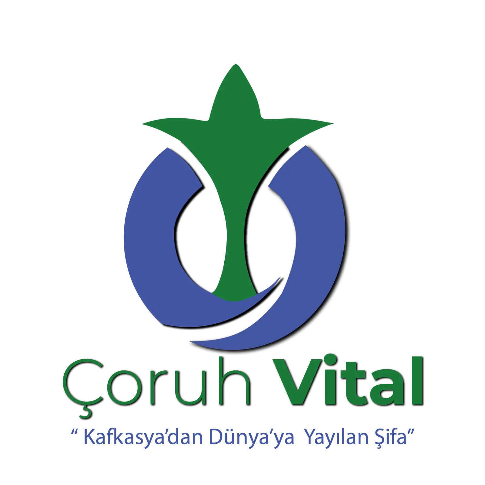 Çoruh Vital